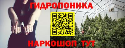 гидра Брянск