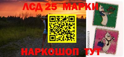 гидра Брянск