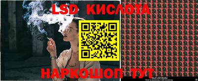 гидра Брянск