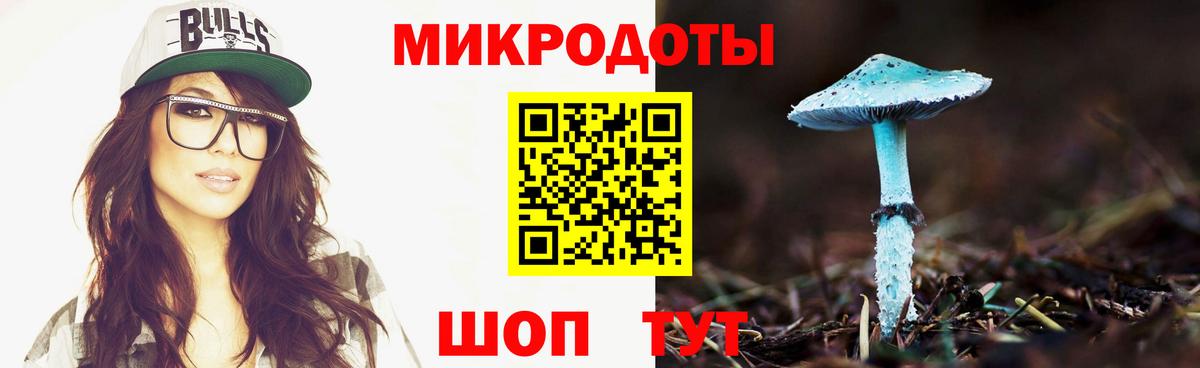 Галлюциногенные грибы Psilocybe  Псилоцибиновые грибы Cubensis  Нижневартовск  Вход с VPN 